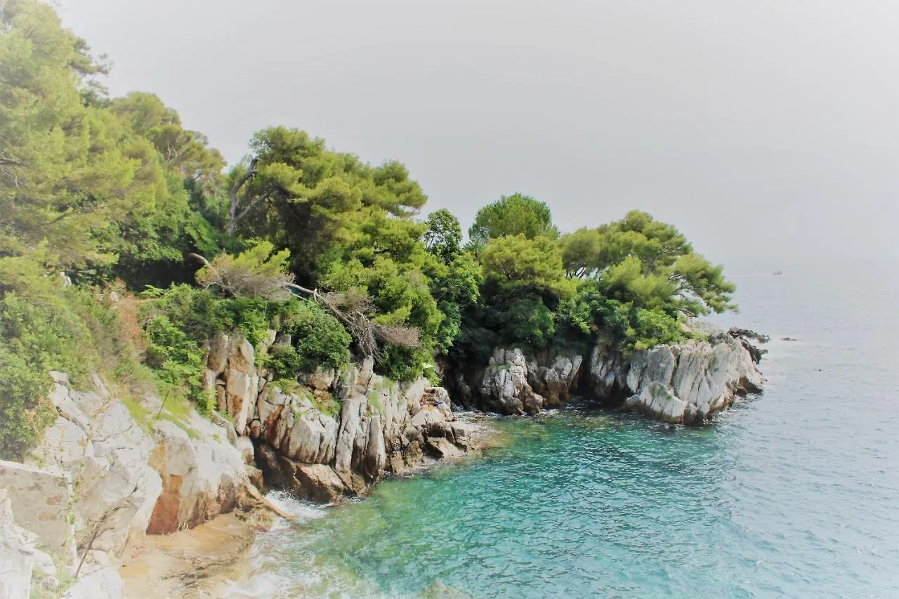 Villa La Romarine à Falicon 0*,
