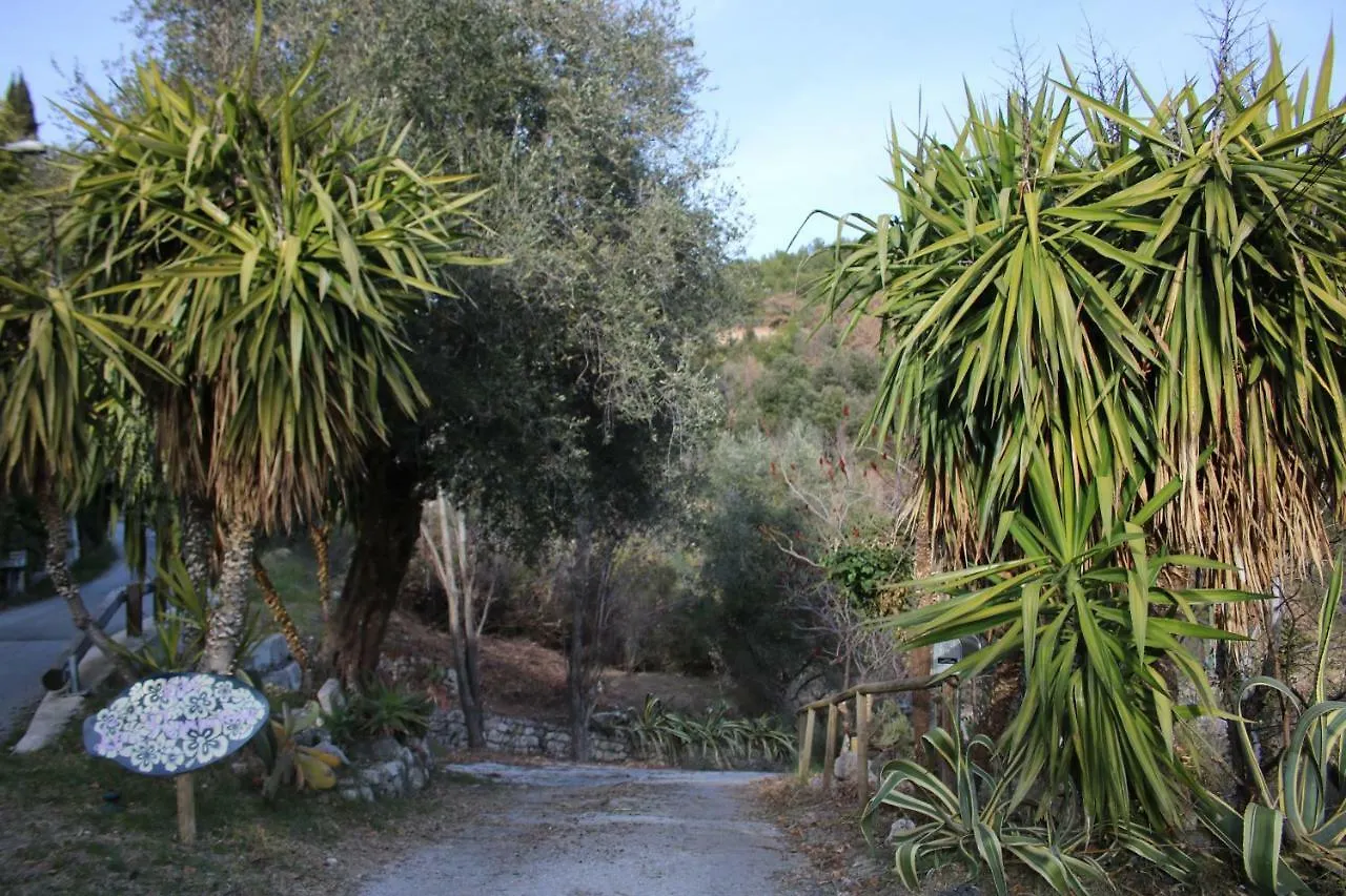 Villa La Romarine à Falicon